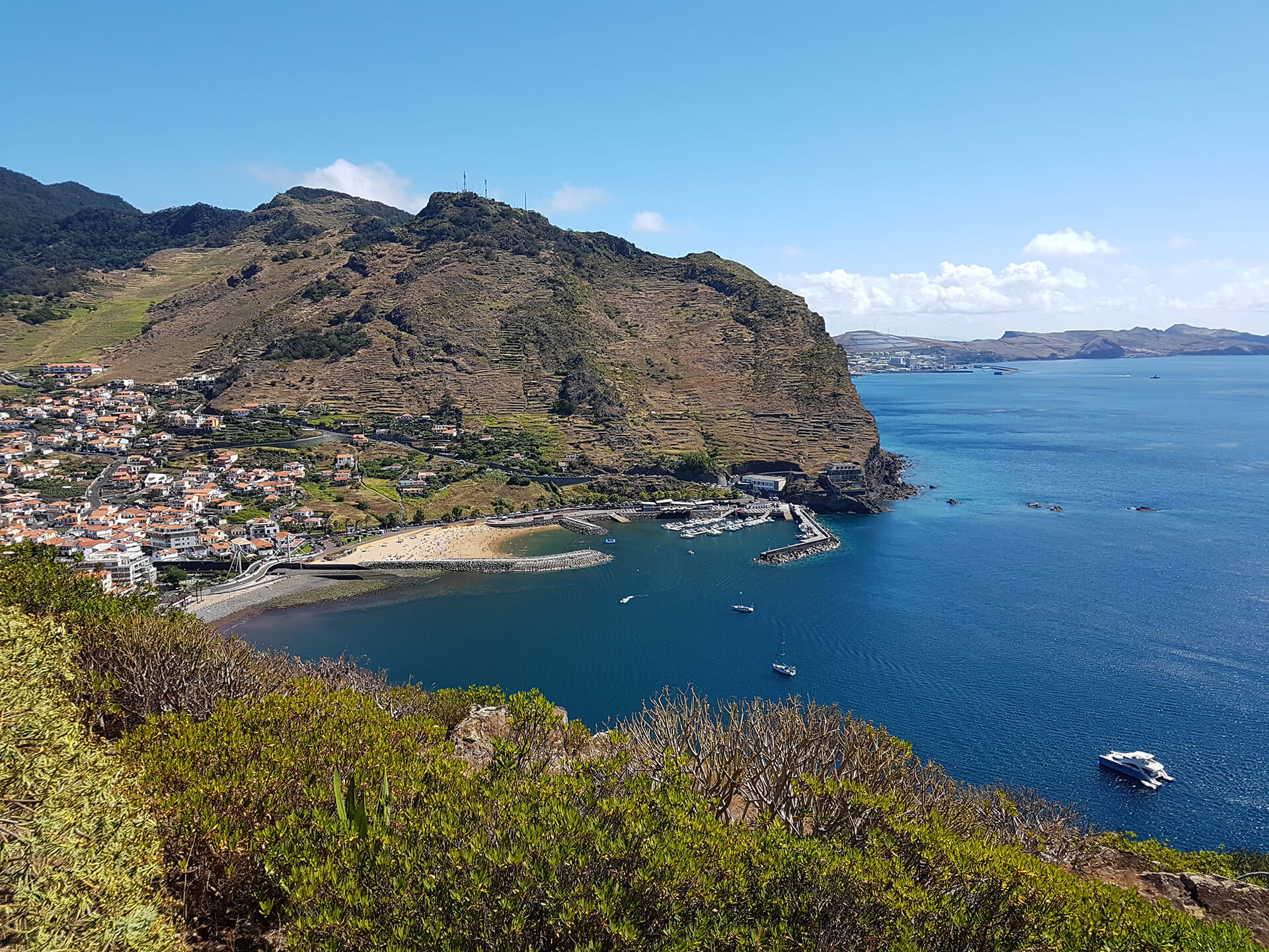 Go North Island Tour - Happy Tours