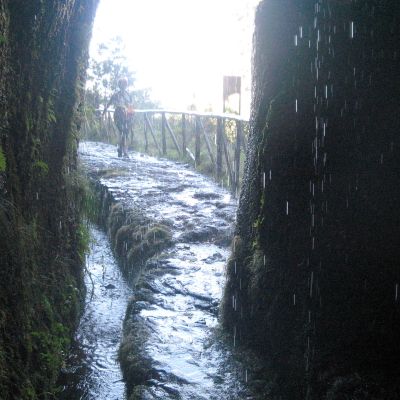 Levada do Rabaçal – Risco – 25 Fontes