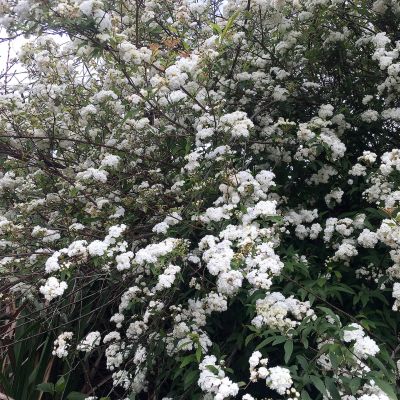 Levada Vale Paraíso - Happy Tours