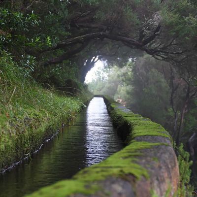 Levada do Rabaçal – Risco – 25 Fontes