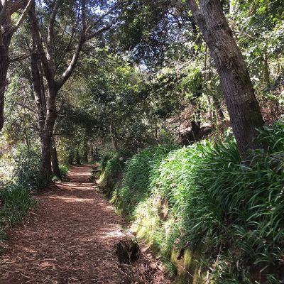 Levada Vale Paraíso - Happy Tours