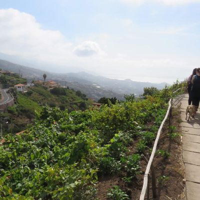 Levada do Estreito
