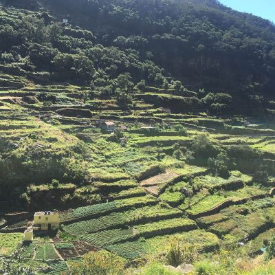 Levada dos Maroços