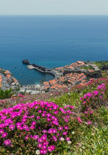 Câmara de Lobos by Tuk-Tuk