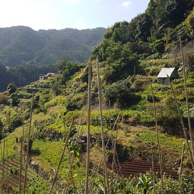 Levada dos Maroços