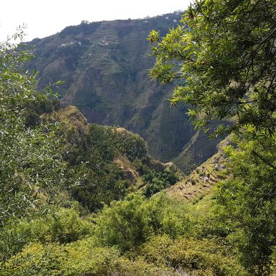 Levada Vale Serra D’Água - Happy Tours