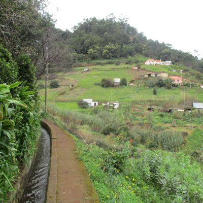 Levada da Referta - Happy Tours