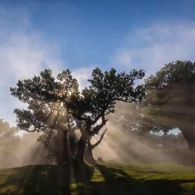 Wanderung Assobiadores – Fanal