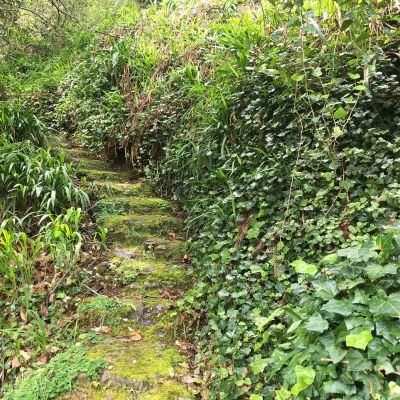 Levada Vale Paraíso - Happy Tours
