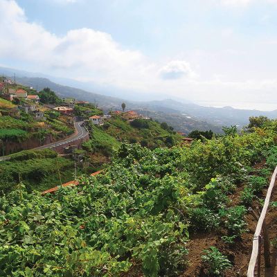 Levada do Estreito