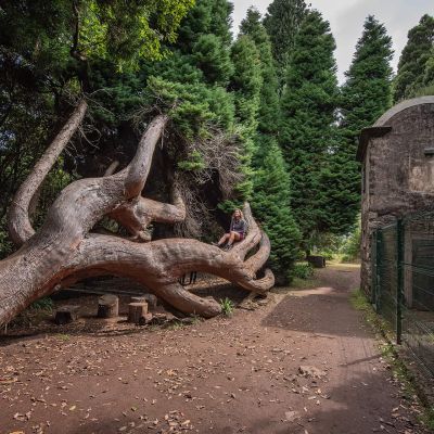 Levada Vale Paraíso - Happy Tours