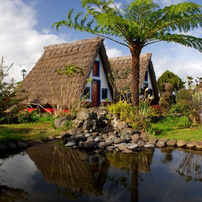2 Full Day Island Tours + 1 Half Day Island Tour