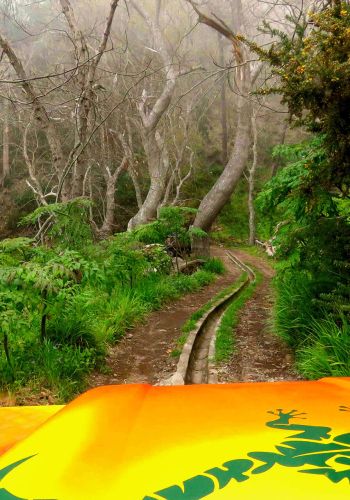 4×4 Jeep Safari Weinberge und Farben – Cabo Girão
