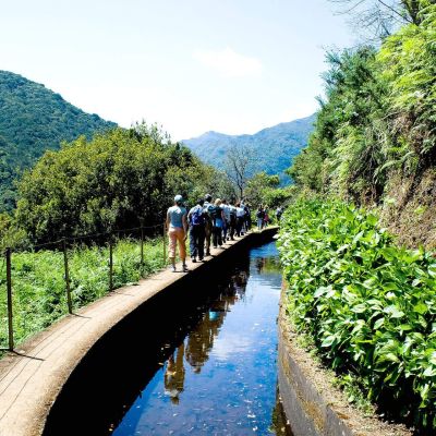 Levada dos Prazeres – Ponta do Pargo - Happy Tours