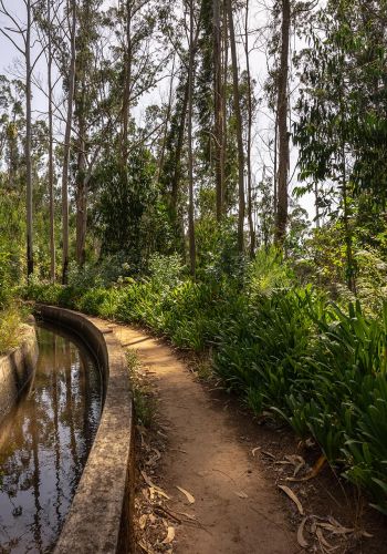 Levada dos Prazeres – Ponta do Pargo - Happy Tours