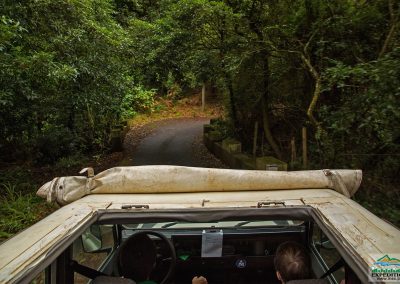 Mini Combo 4x4 Jeep Safari - East Challenge Expedition 8