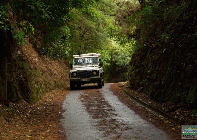 Expedição Mini Combo - 4x4 Jeep Safari + Levada 7