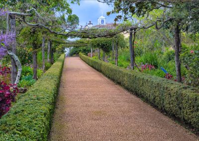 Palheiro Gardens by Tuk-Tuk 4